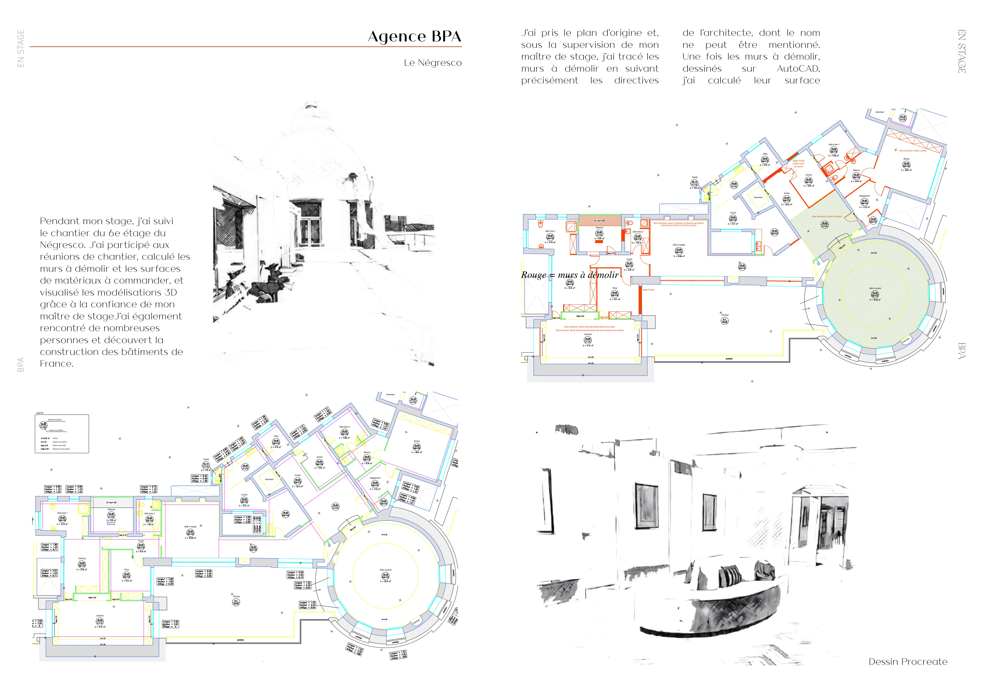 BPA Agency - Le Negresco - site supervision, portfolio board